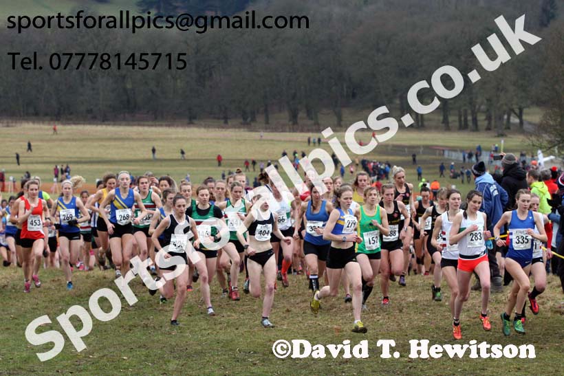 Senior women, 2018 Northern Cross Country Champs., Harewood House, Leeds. Photo: David T. Hewitson/Sports for All Pics